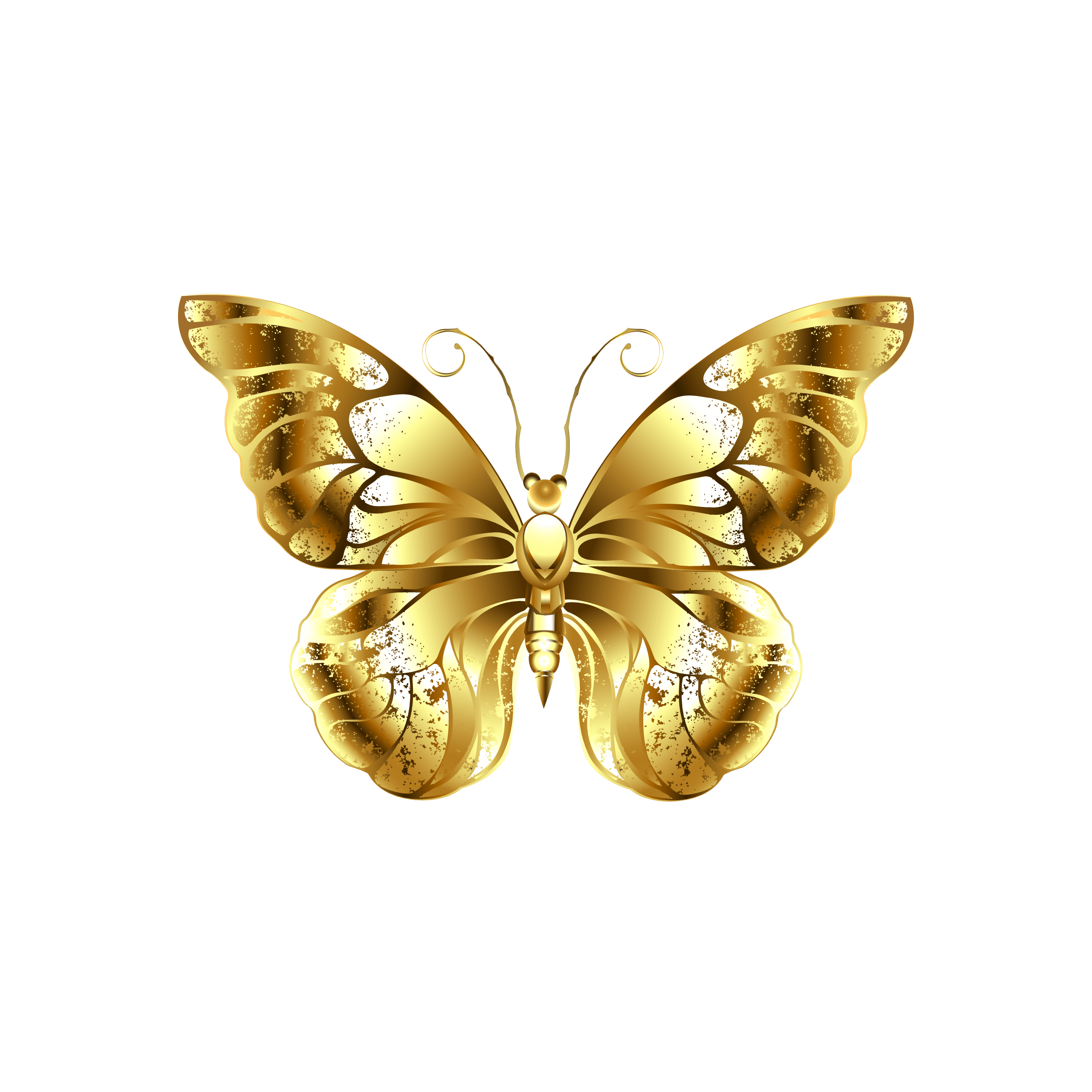 Untitled design (2)