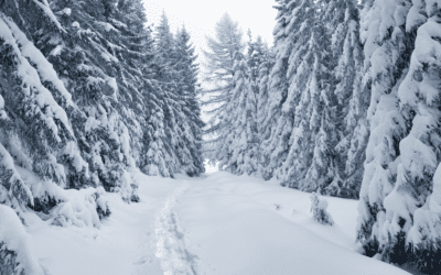 Winter Blues? Try this for inducing body-based brain bliss