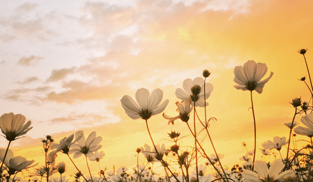 11 Ayurvedic Methods For Healing Spring Allergies