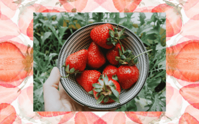 Heart-Soothing Strawberry Rose Smoothie